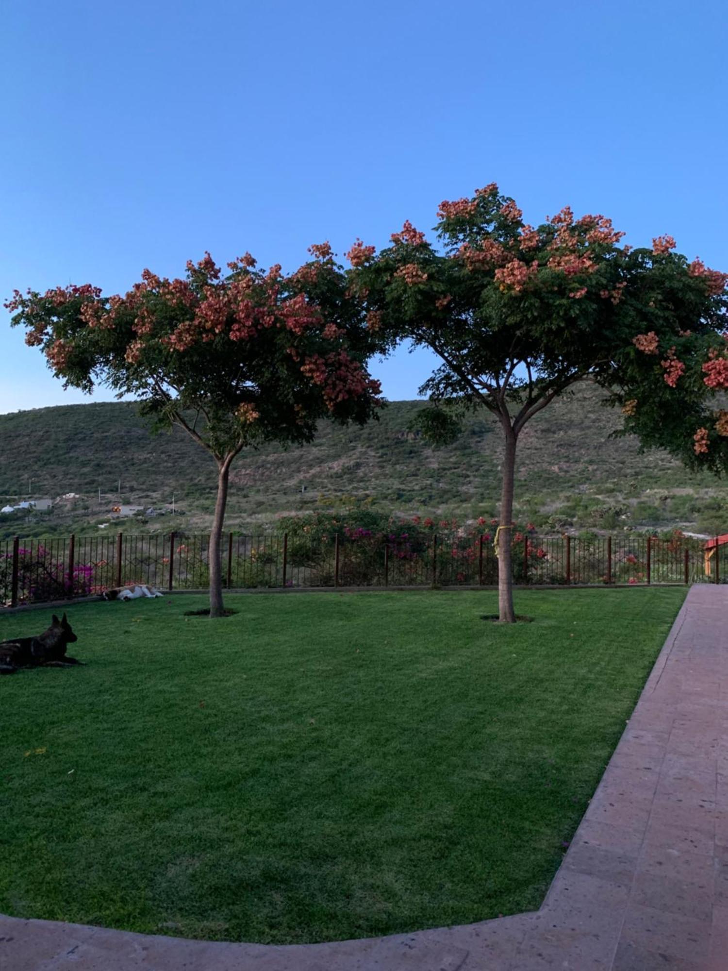 Villa Campestre La Soledad Colon Dış mekan fotoğraf