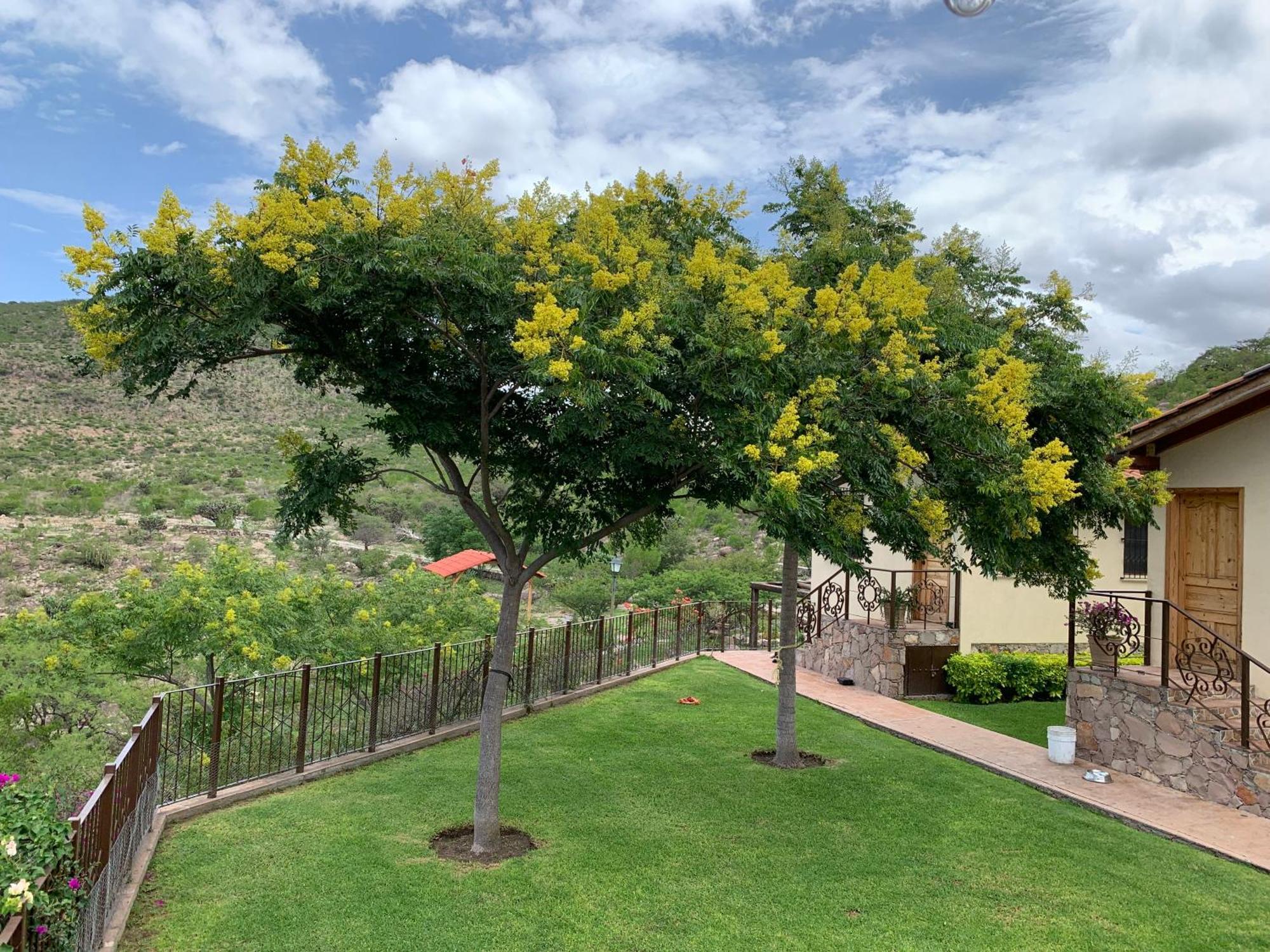 Villa Campestre La Soledad Colon Dış mekan fotoğraf