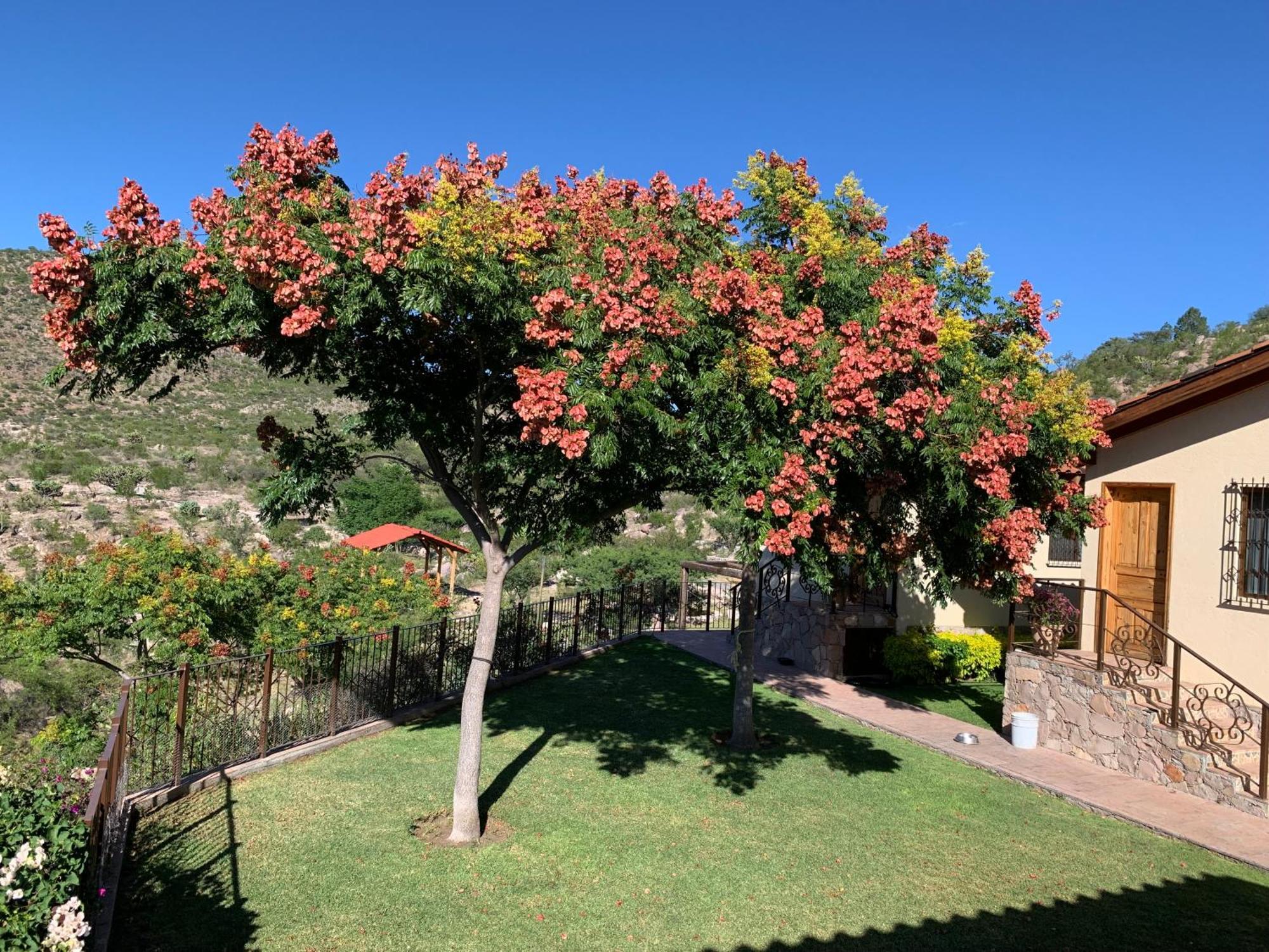 Villa Campestre La Soledad Colon Dış mekan fotoğraf