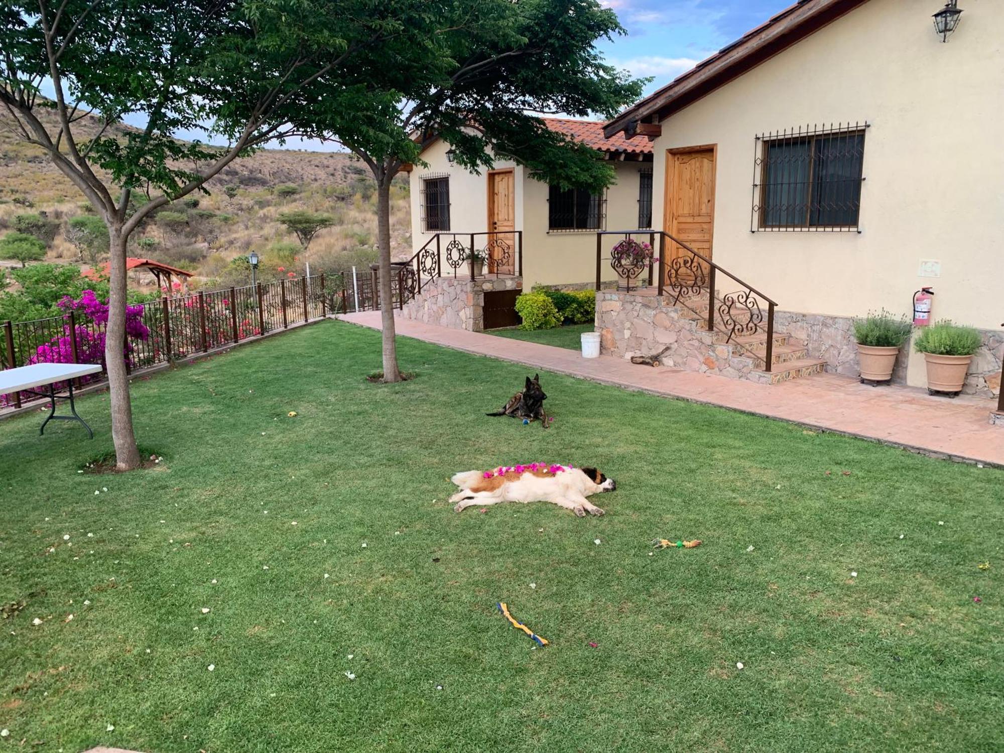 Villa Campestre La Soledad Colon Dış mekan fotoğraf
